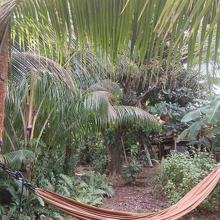Shuit Bambou Villa La Trinite Exterior photo